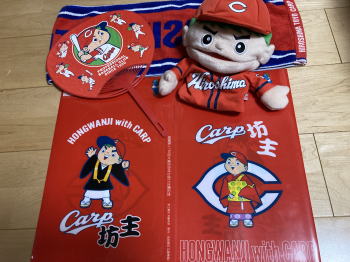 �����񍐎ʐ^